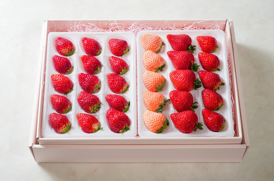 春限定｜いちご食べ比べギフト（3種30粒）