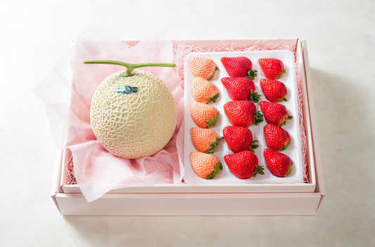 春限定｜いちご食べ比べギフト（3種＋メロン）